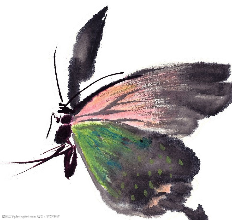 水墨风格的蝴蝶图片